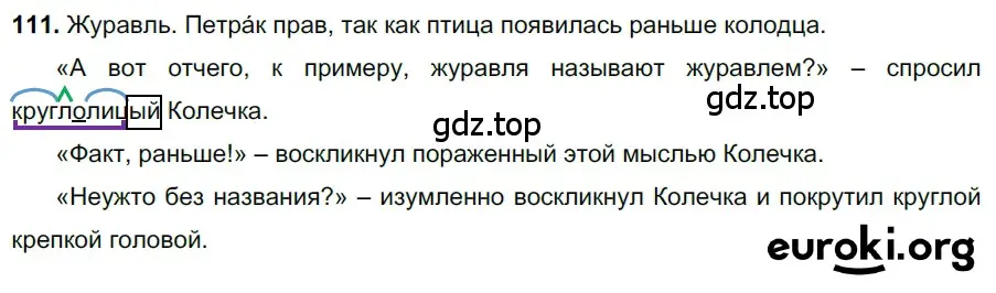 Решение 3. номер 111 (страница 55) гдз по русскому языку 6 класс Баранов, Ладыженская, учебник 1 часть