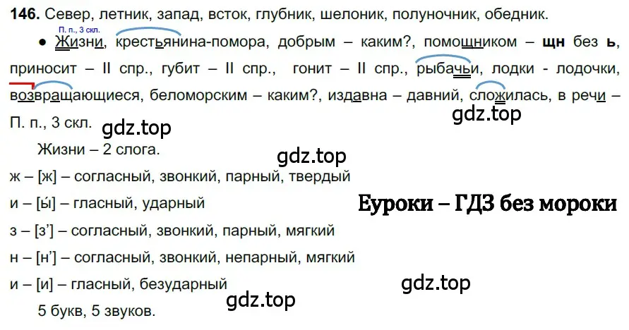 Решение 3. номер 146 (страница 70) гдз по русскому языку 6 класс Баранов, Ладыженская, учебник 1 часть