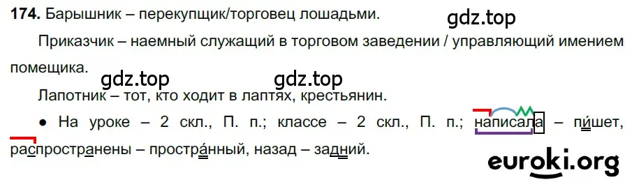 Решение 3. номер 174 (страница 84) гдз по русскому языку 6 класс Баранов, Ладыженская, учебник 1 часть