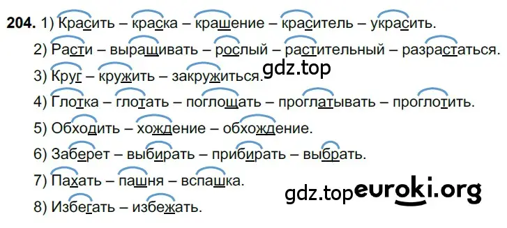 Решение 3. номер 204 (страница 100) гдз по русскому языку 6 класс Баранов, Ладыженская, учебник 1 часть