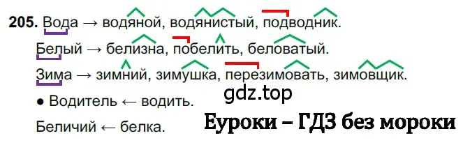 Решение 3. номер 205 (страница 101) гдз по русскому языку 6 класс Баранов, Ладыженская, учебник 1 часть