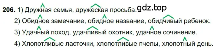 Решение 3. номер 206 (страница 101) гдз по русскому языку 6 класс Баранов, Ладыженская, учебник 1 часть