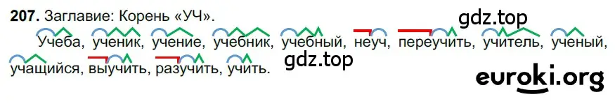 Решение 3. номер 207 (страница 101) гдз по русскому языку 6 класс Баранов, Ладыженская, учебник 1 часть