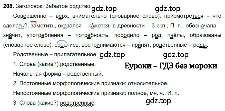 Решение 3. номер 208 (страница 102) гдз по русскому языку 6 класс Баранов, Ладыженская, учебник 1 часть