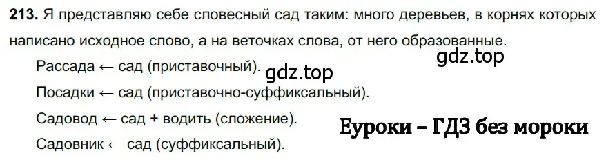 Решение 3. номер 213 (страница 106) гдз по русскому языку 6 класс Баранов, Ладыженская, учебник 1 часть