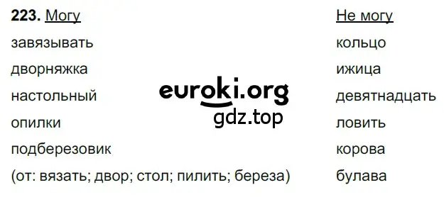 Решение 3. номер 223 (страница 112) гдз по русскому языку 6 класс Баранов, Ладыженская, учебник 1 часть