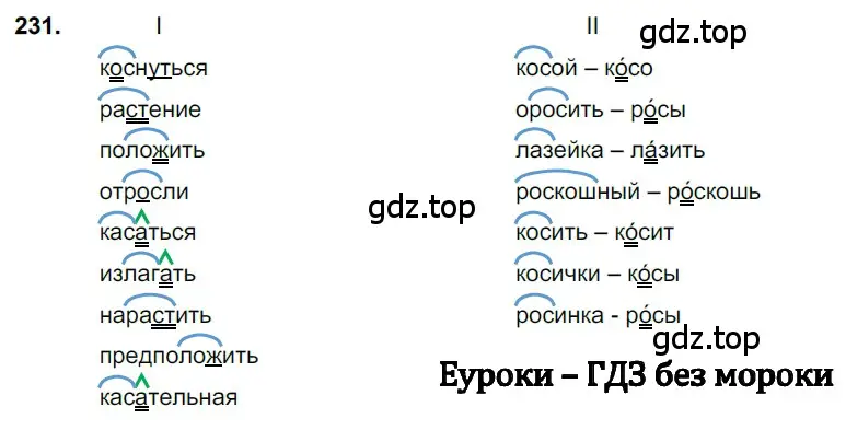 Решение 3. номер 231 (страница 116) гдз по русскому языку 6 класс Баранов, Ладыженская, учебник 1 часть