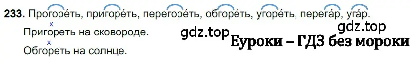 Решение 3. номер 233 (страница 116) гдз по русскому языку 6 класс Баранов, Ладыженская, учебник 1 часть