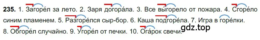 Решение 3. номер 235 (страница 117) гдз по русскому языку 6 класс Баранов, Ладыженская, учебник 1 часть