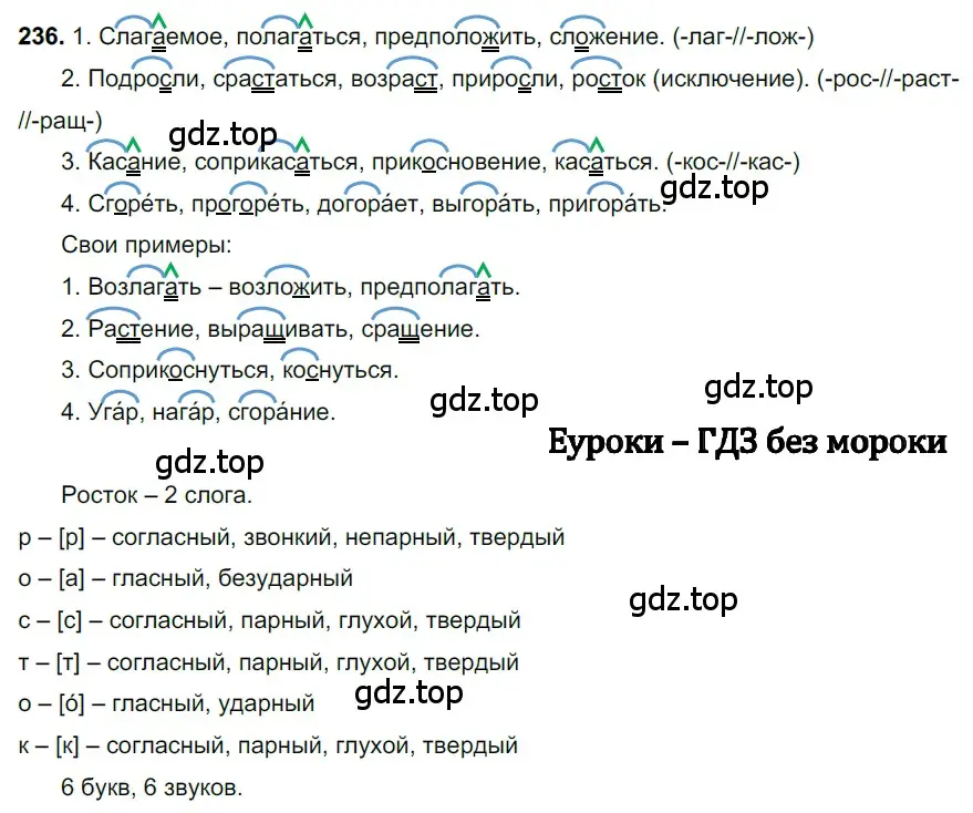 Решение 3. номер 236 (страница 117) гдз по русскому языку 6 класс Баранов, Ладыженская, учебник 1 часть