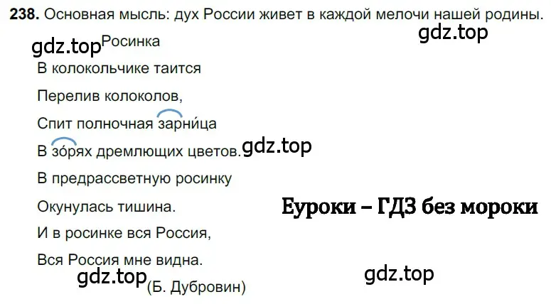 Решение 3. номер 238 (страница 118) гдз по русскому языку 6 класс Баранов, Ладыженская, учебник 1 часть