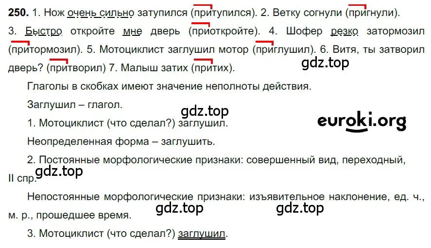 Решение 3. номер 250 (страница 123) гдз по русскому языку 6 класс Баранов, Ладыженская, учебник 1 часть