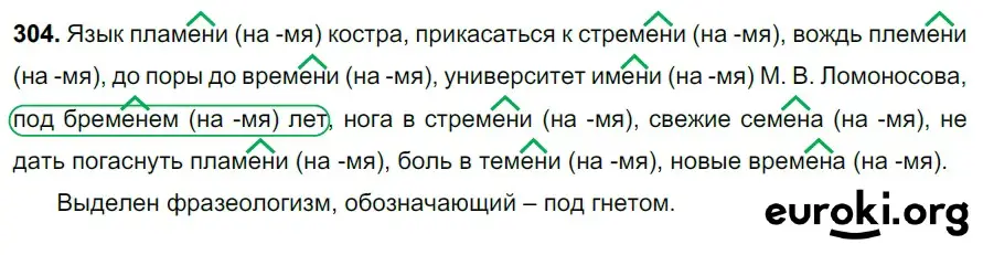 Решение 3. номер 304 (страница 144) гдз по русскому языку 6 класс Баранов, Ладыженская, учебник 1 часть