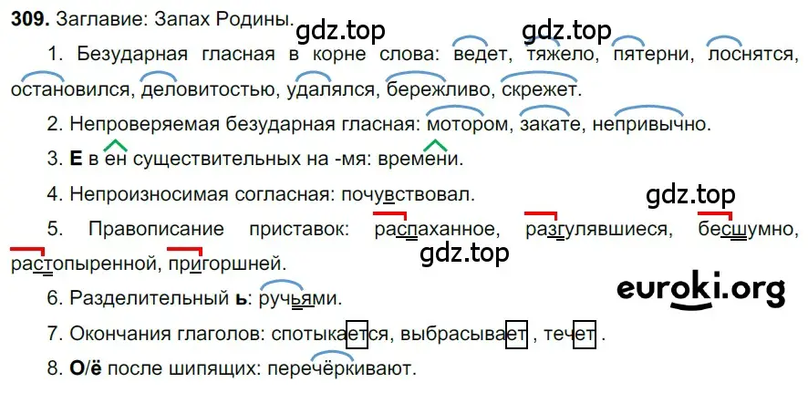 Решение 3. номер 309 (страница 145) гдз по русскому языку 6 класс Баранов, Ладыженская, учебник 1 часть