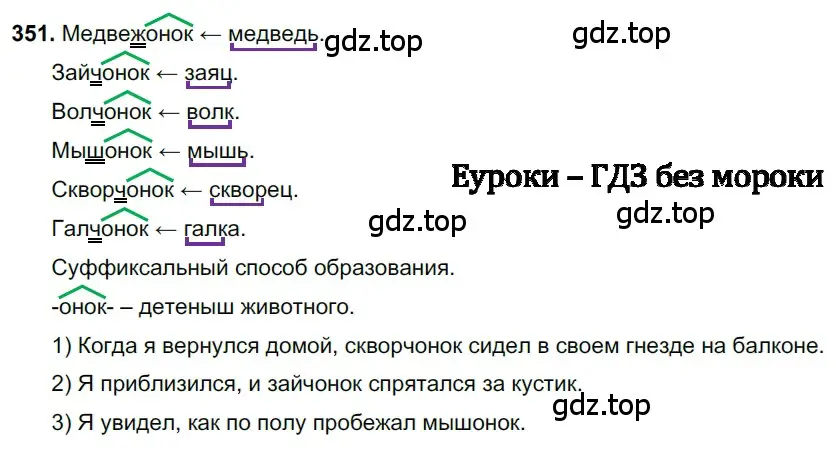 Решение 3. номер 351 (страница 163) гдз по русскому языку 6 класс Баранов, Ладыженская, учебник 1 часть