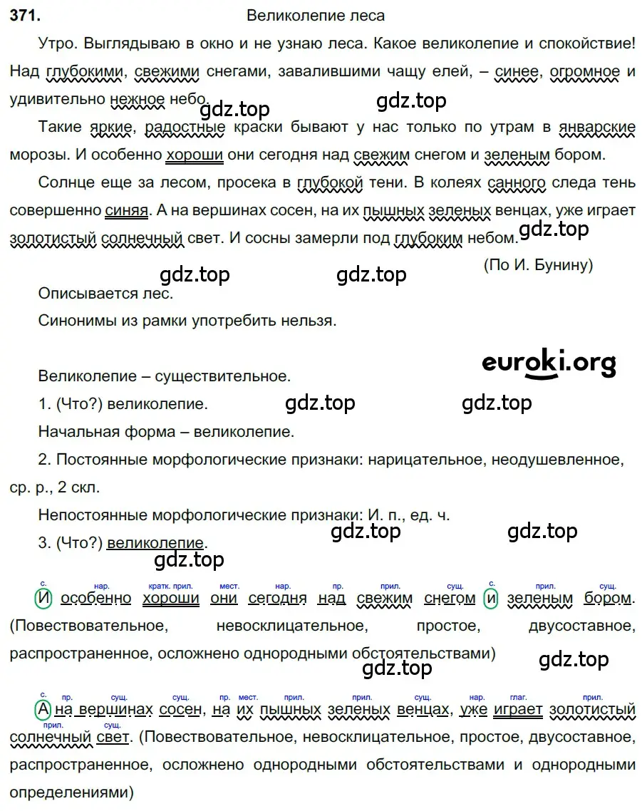 Решение 3. номер 371 (страница 8) гдз по русскому языку 6 класс Баранов, Ладыженская, учебник 2 часть