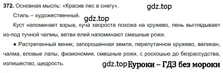 Решение 3. номер 372 (страница 8) гдз по русскому языку 6 класс Баранов, Ладыженская, учебник 2 часть