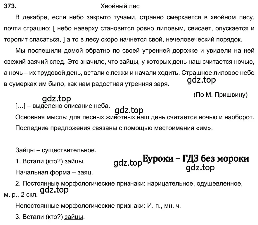 Решение 3. номер 373 (страница 9) гдз по русскому языку 6 класс Баранов, Ладыженская, учебник 2 часть