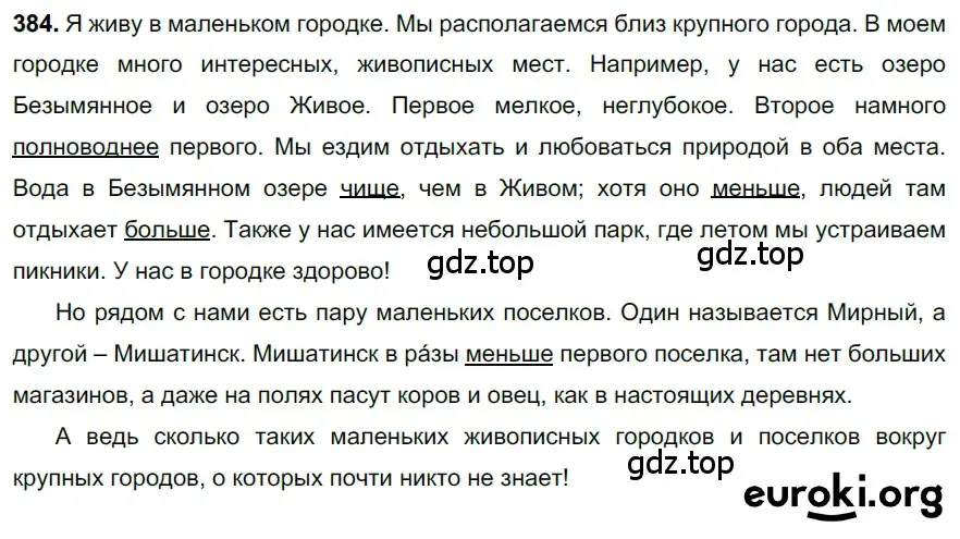 Решение 3. номер 384 (страница 15) гдз по русскому языку 6 класс Баранов, Ладыженская, учебник 2 часть