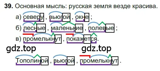 Решение 3. номер 39 (страница 20) гдз по русскому языку 6 класс Баранов, Ладыженская, учебник 1 часть