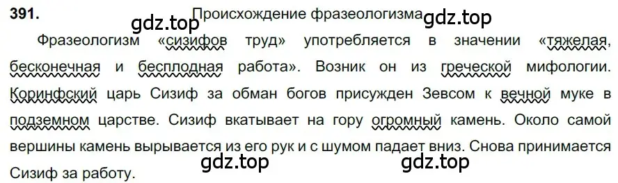 Решение 3. номер 391 (страница 19) гдз по русскому языку 6 класс Баранов, Ладыженская, учебник 2 часть