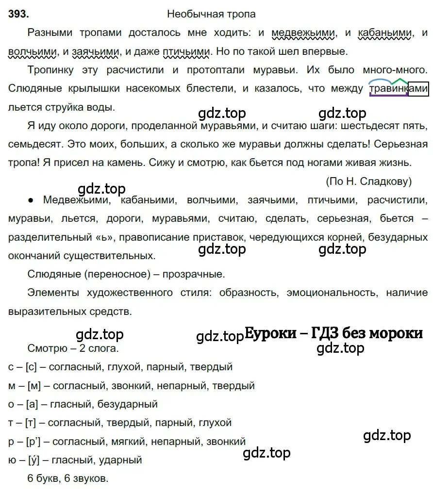 Решение 3. номер 393 (страница 20) гдз по русскому языку 6 класс Баранов, Ладыженская, учебник 2 часть