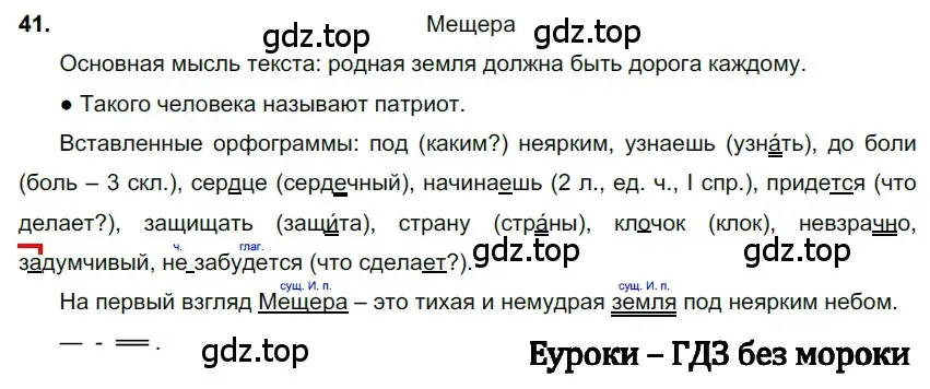 Решение 3. номер 41 (страница 20) гдз по русскому языку 6 класс Баранов, Ладыженская, учебник 1 часть