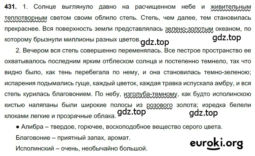 Решение 3. номер 431 (страница 38) гдз по русскому языку 6 класс Баранов, Ладыженская, учебник 2 часть