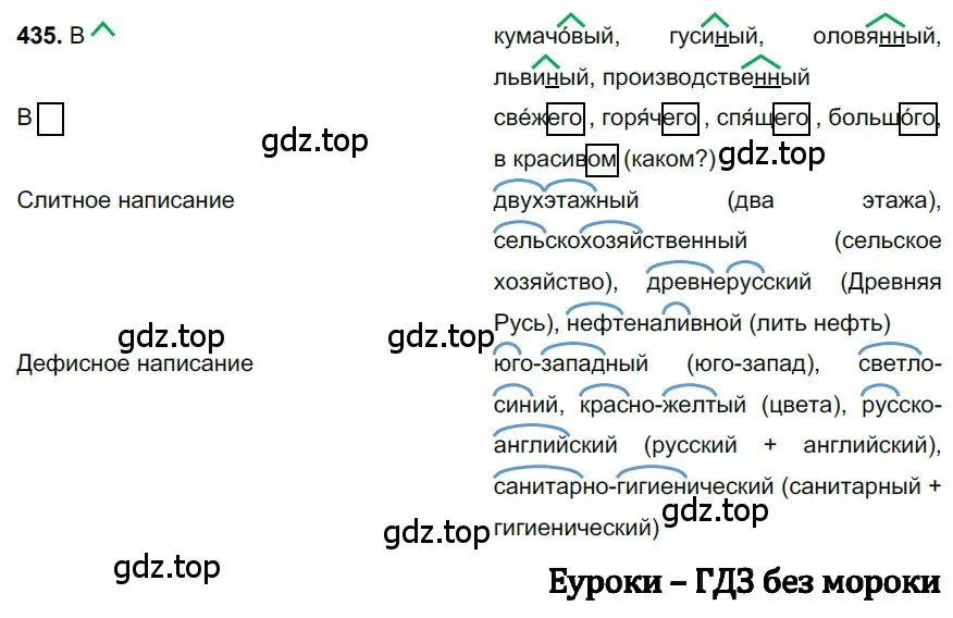 Решение 3. номер 435 (страница 40) гдз по русскому языку 6 класс Баранов, Ладыженская, учебник 2 часть