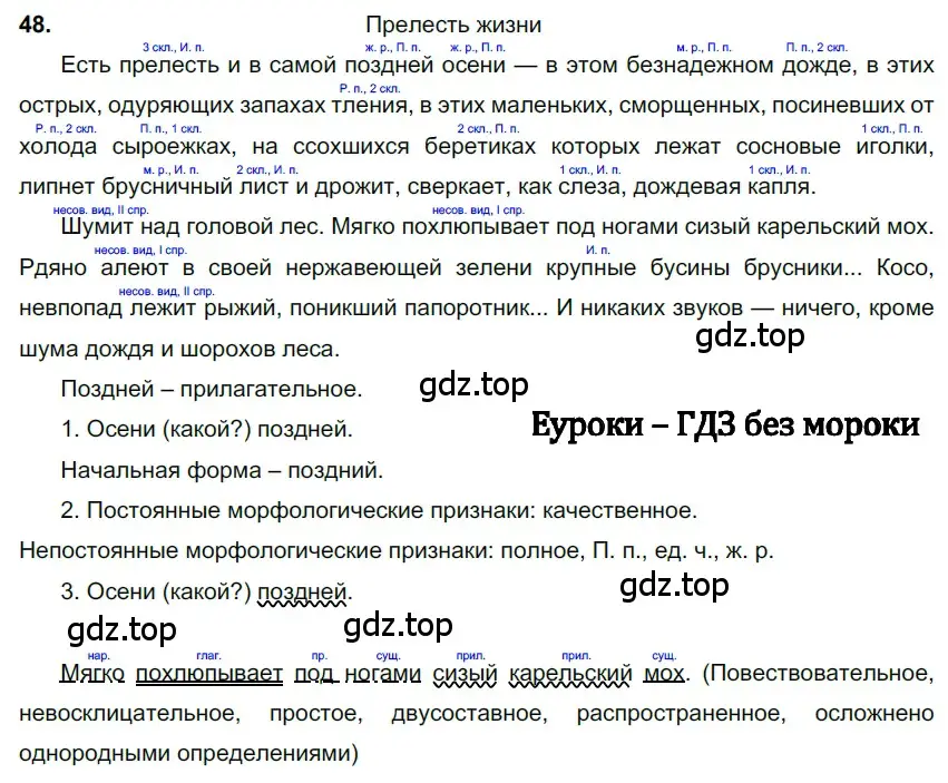 Решение 3. номер 48 (страница 24) гдз по русскому языку 6 класс Баранов, Ладыженская, учебник 1 часть