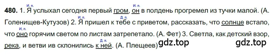 Решение 3. номер 480 (страница 66) гдз по русскому языку 6 класс Баранов, Ладыженская, учебник 2 часть