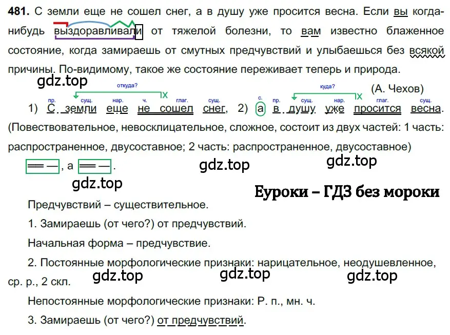 Решение 3. номер 481 (страница 67) гдз по русскому языку 6 класс Баранов, Ладыженская, учебник 2 часть