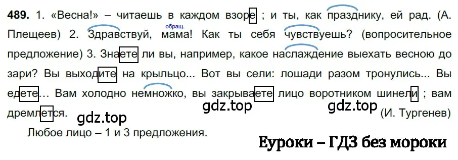 Решение 3. номер 489 (страница 70) гдз по русскому языку 6 класс Баранов, Ладыженская, учебник 2 часть