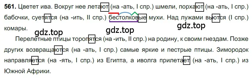 Решение 3. номер 561 (страница 106) гдз по русскому языку 6 класс Баранов, Ладыженская, учебник 2 часть