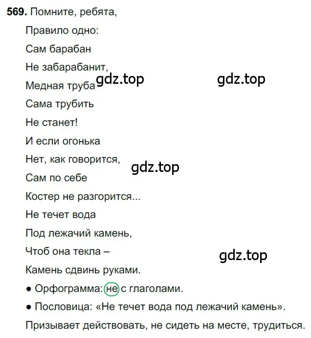 Решение 3. номер 569 (страница 109) гдз по русскому языку 6 класс Баранов, Ладыженская, учебник 2 часть