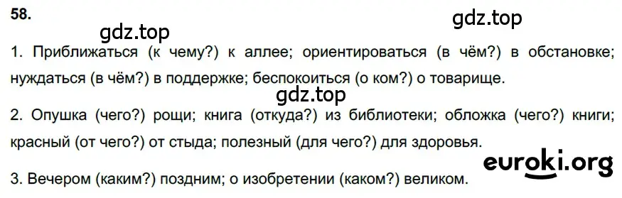 Решение 3. номер 58 (страница 28) гдз по русскому языку 6 класс Баранов, Ладыженская, учебник 1 часть