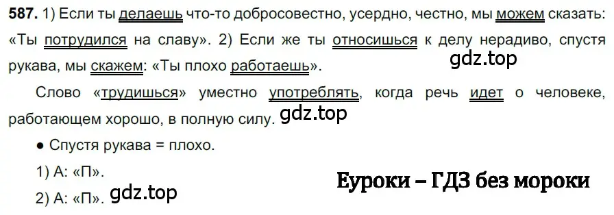 Решение 3. номер 587 (страница 118) гдз по русскому языку 6 класс Баранов, Ладыженская, учебник 2 часть