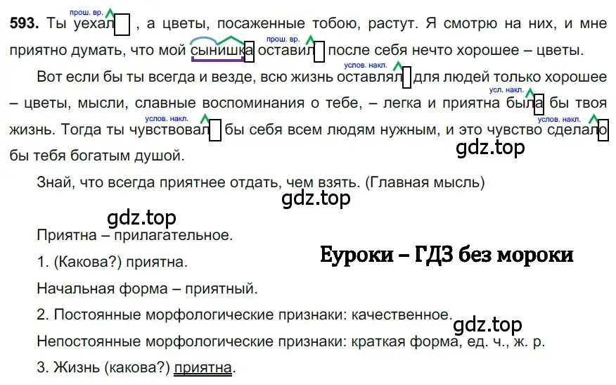 Решение 3. номер 593 (страница 123) гдз по русскому языку 6 класс Баранов, Ладыженская, учебник 2 часть