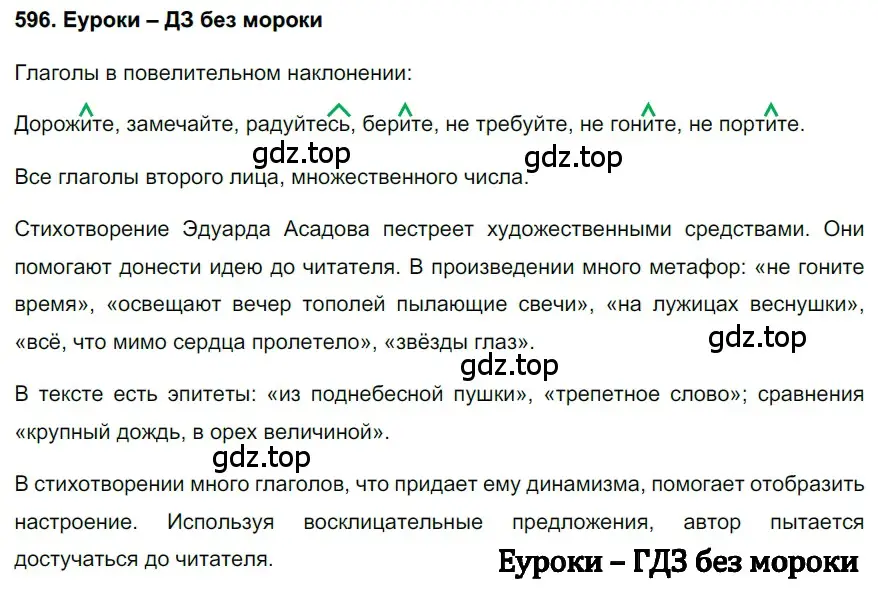 Решение 3. номер 596 (страница 125) гдз по русскому языку 6 класс Баранов, Ладыженская, учебник 2 часть