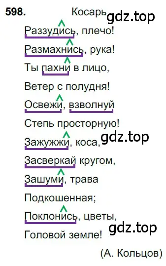 Решение 3. номер 598 (страница 127) гдз по русскому языку 6 класс Баранов, Ладыженская, учебник 2 часть