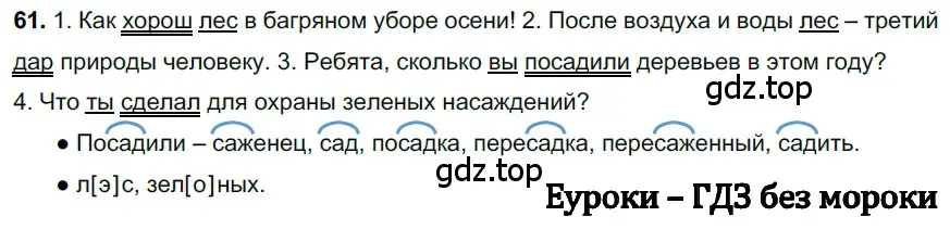 Решение 3. номер 61 (страница 30) гдз по русскому языку 6 класс Баранов, Ладыженская, учебник 1 часть