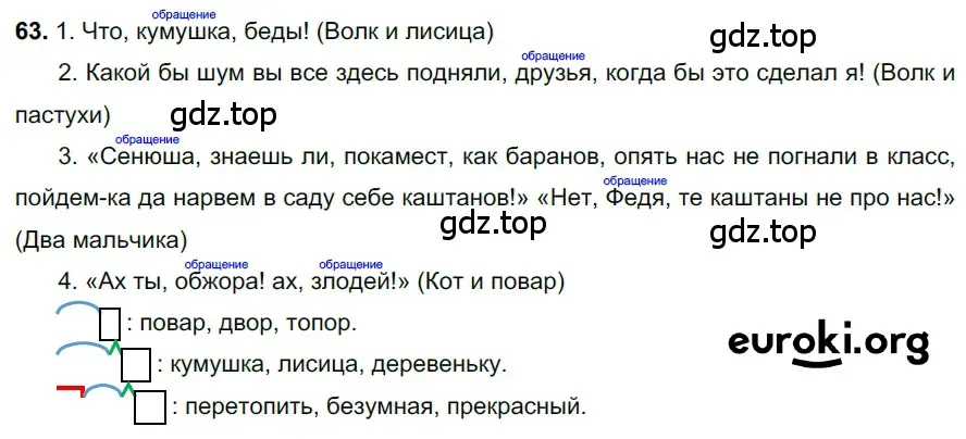 Решение 3. номер 63 (страница 30) гдз по русскому языку 6 класс Баранов, Ладыженская, учебник 1 часть