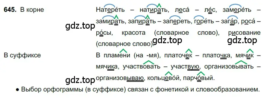 Решение 3. номер 645 (страница 147) гдз по русскому языку 6 класс Баранов, Ладыженская, учебник 2 часть