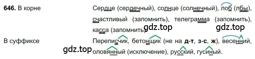 Решение 3. номер 646 (страница 147) гдз по русскому языку 6 класс Баранов, Ладыженская, учебник 2 часть