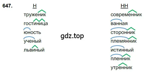 Решение 3. номер 647 (страница 147) гдз по русскому языку 6 класс Баранов, Ладыженская, учебник 2 часть