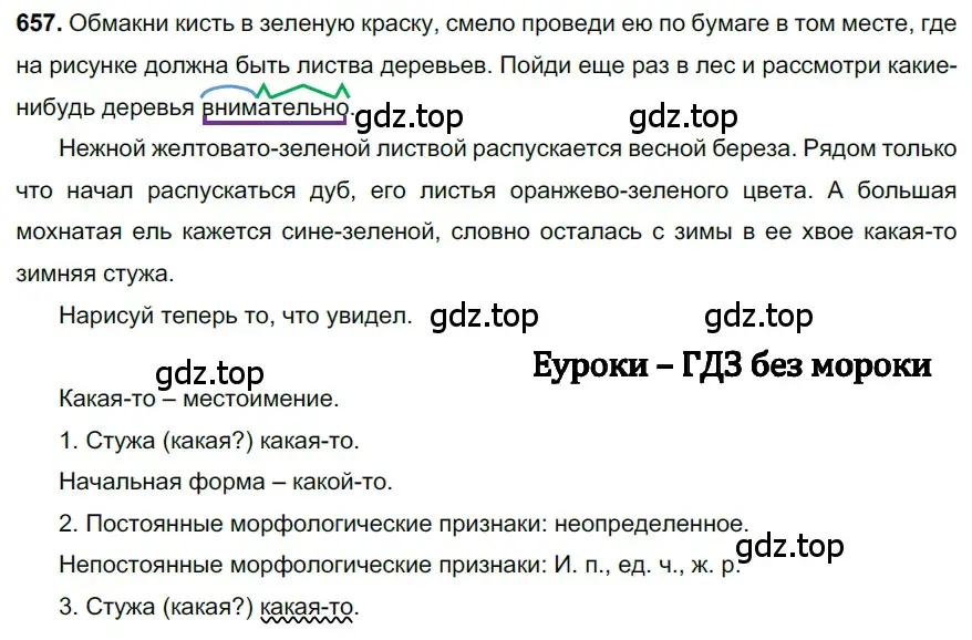 Решение 3. номер 657 (страница 150) гдз по русскому языку 6 класс Баранов, Ладыженская, учебник 2 часть