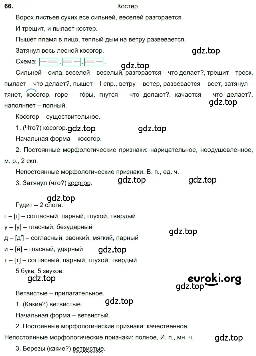 Решение 3. номер 66 (страница 31) гдз по русскому языку 6 класс Баранов, Ладыженская, учебник 1 часть