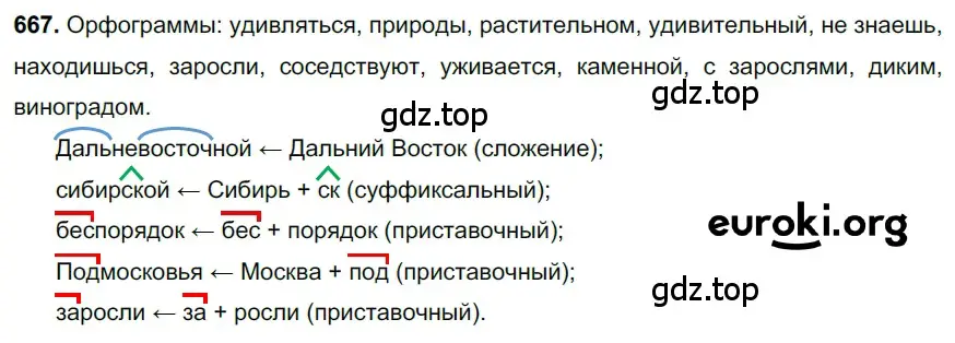 Решение 3. номер 667 (страница 156) гдз по русскому языку 6 класс Баранов, Ладыженская, учебник 2 часть