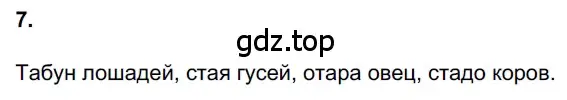 Решение 3. номер 7 (страница 6) гдз по русскому языку 6 класс Баранов, Ладыженская, учебник 1 часть