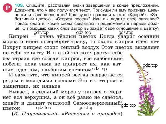 Условие номер 103 (страница 53) гдз по русскому языку 6 класс Баранов, Ладыженская, учебник 1 часть